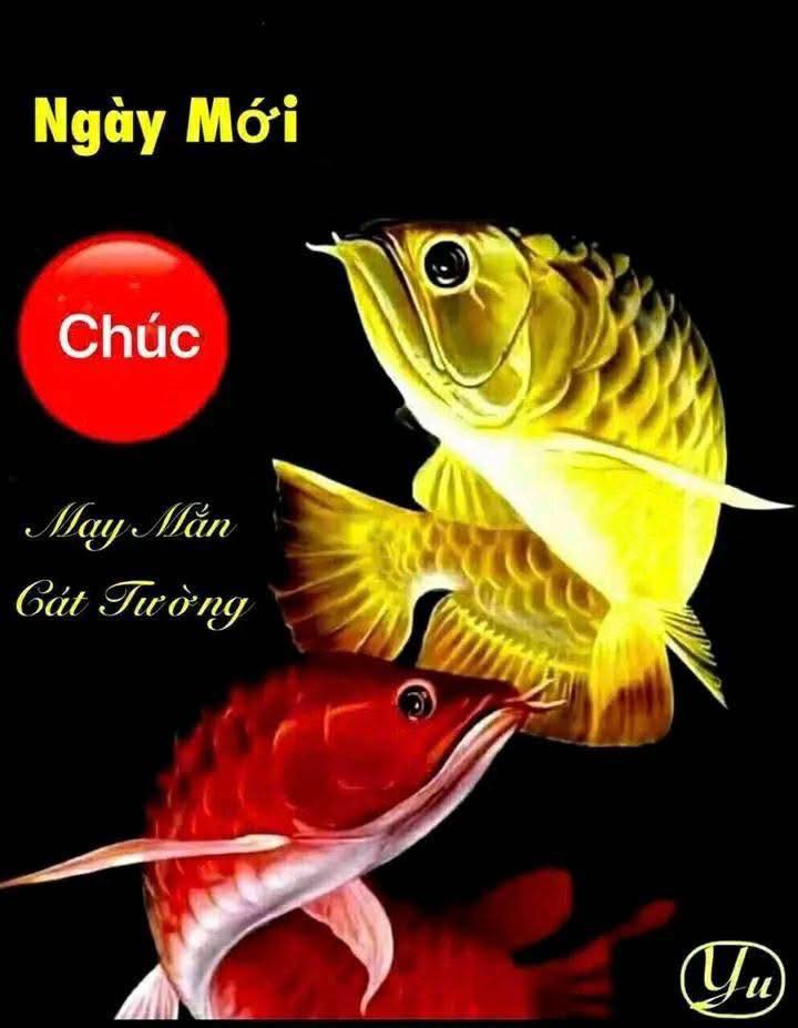 Đất mặt tiền đường Nguyễn Du, Gò Vấp, 195m² - Cơ hội đầu tư tuyệt vời!