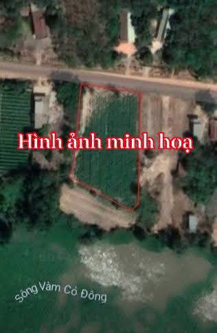 Đất 2 mặt tiền xã Hòa Lộc, Mỏ Cày Bắc 7500m² - Cơ hội đầu tư sinh lời!