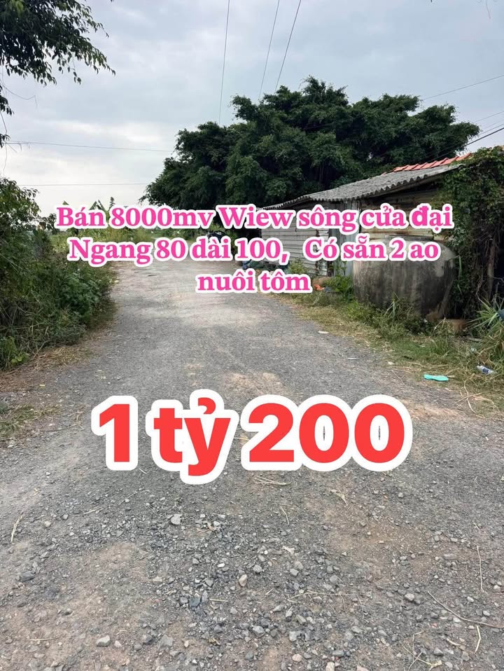 Đất nông nghiệp 8000m² tại Tân Phú Đông - Giá chỉ 1.2 tỷ, sở hữu ngay!