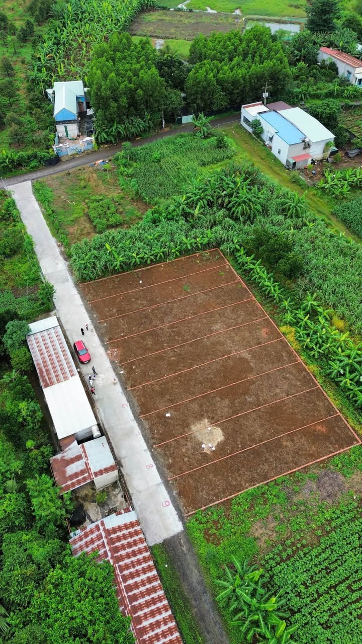 Đất nền Trảng Bom 140m² giá chỉ 700 triệu - Sổ hồng riêng, thuận tiện xây dựng