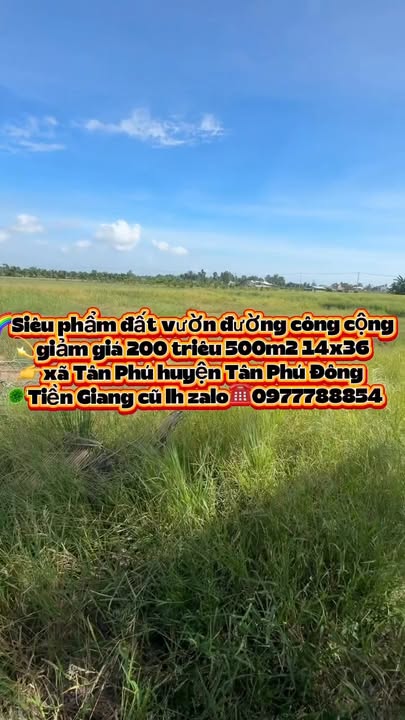 Đất nền Tân Phú Đông Tiền Giang 500m² giá chỉ 200 triệu - Cơ hội đầu tư tuyệt vời!