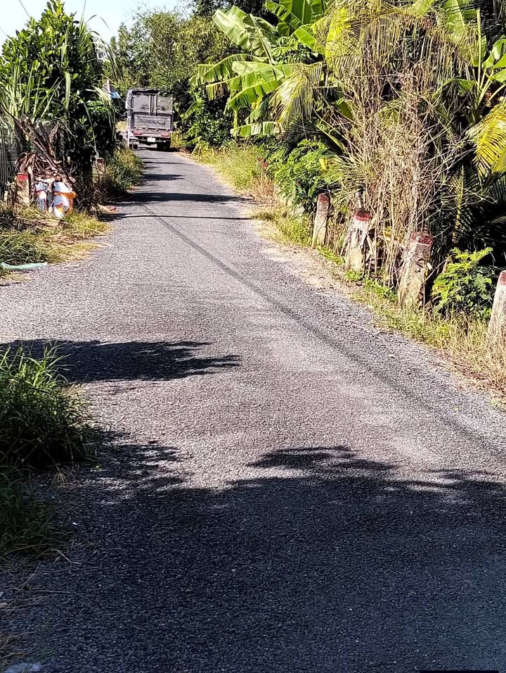 Bán vườn mít Thái 38.030m² giá 1.4 tỷ - Sổ đỏ chính chủ, cơ hội đầu tư tốt!