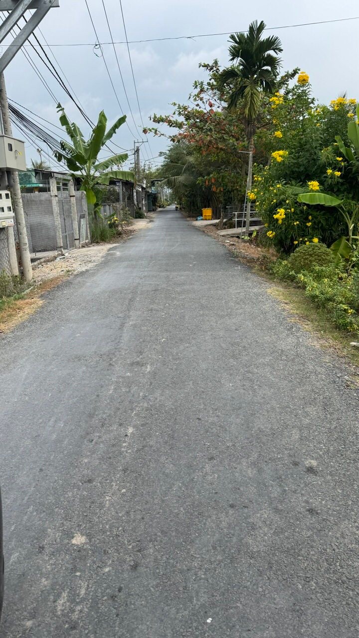 Đất mặt tiền đường Bờ Cộ, Phước Thạnh, 124m² giá 1.2 tỷ - Kinh doanh thuận lợi!