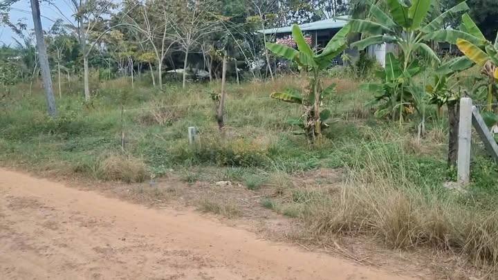 Đất thổ cư Trà Vong, Tân Biên 260m² giá 270 triệu - Cơ hội đầu tư tuyệt vời!