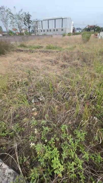 Đất đấu giá Đoan Hạ 171m² - Lô góc hai mặt tiền, giá thỏa thuận!