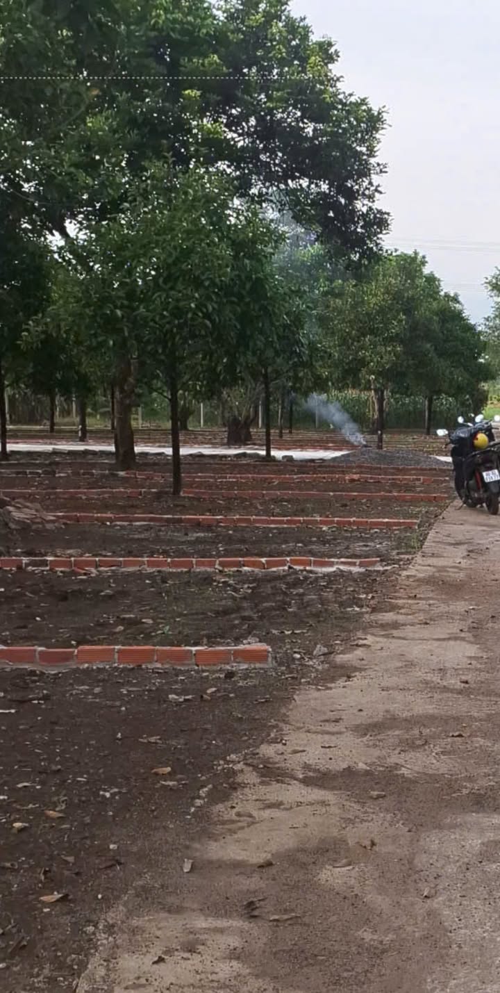 Đất nền Bảo Vinh - 155m² chỉ 800 triệu - Cơ hội đầu tư tuyệt vời!