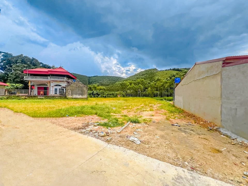 Đất nền Nghĩa Phương, Lục Nam 600m² giá chỉ 400 triệu - Sổ đỏ chính chủ!