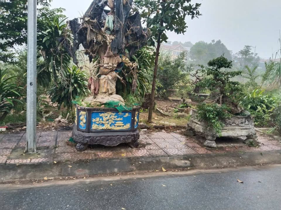 Đất thổ cư 108m² xã Tam Phúc - Sổ hồng chính chủ, giá 2.3 tỷ!