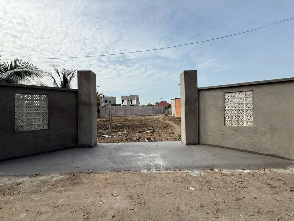 Đất vườn Phước Hậu, Long An 1.000m² giá 3,9 tỷ - Đầu tư sinh lời lý tưởng!