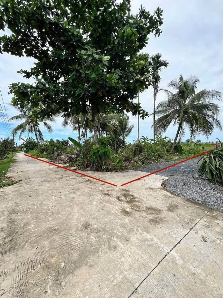 Đất thổ cư 1700m² ấp Bình Trị 1 giá 1.6 tỷ - Sổ hồng chính chủ