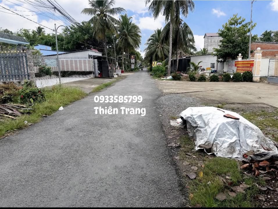 Đất nền xã Tân Lược, huyện Bình Tân 250m² giá chỉ 500 triệu - Cơ hội đầu tư tuyệt vời!