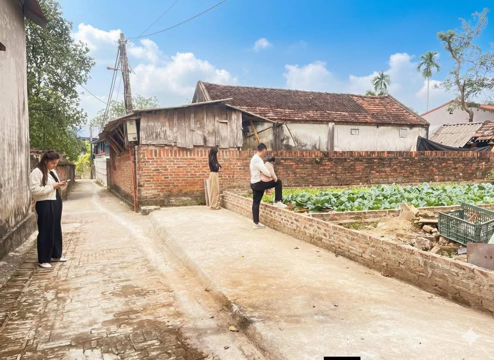 Đất thổ cư 80m² xã Tân Minh, Sóc Sơn giá chỉ 1.4 tỷ - Tiềm năng đầu tư cao!