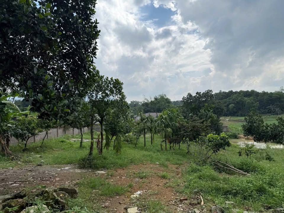 Đất Ba Trại 1451m² giá 4 tỷ - Mặt tiền 36m, cơ hội đầu tư hiếm có!