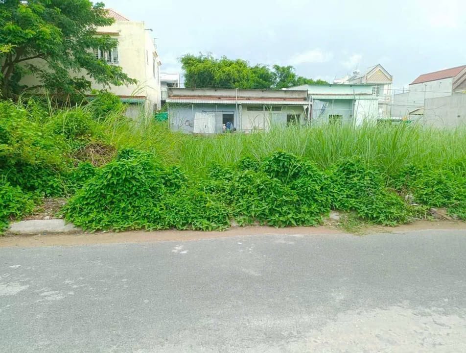 Đất nền dự án ĐS11 Khu đô thị Sao Mai Cái Dầu 80m² giá 980 triệu - Cơ hội đầu tư tuyệt vời!