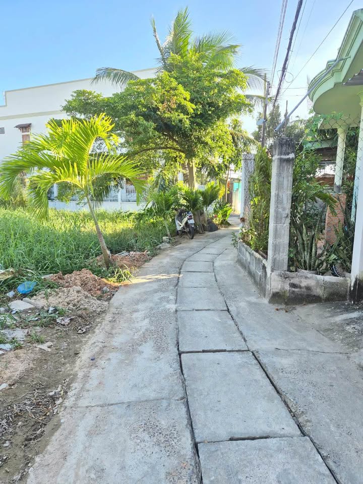 Đất thổ cư Hẻm 203 Trần Quang Diệu 100m² giá 1.499 tỷ - Bán gấp trước Tết!