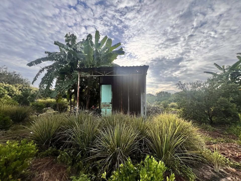 Đất trồng cây ăn trái 2000m² tại Trường Xuân, Tây Ninh - Tiềm năng đầu tư lớn!