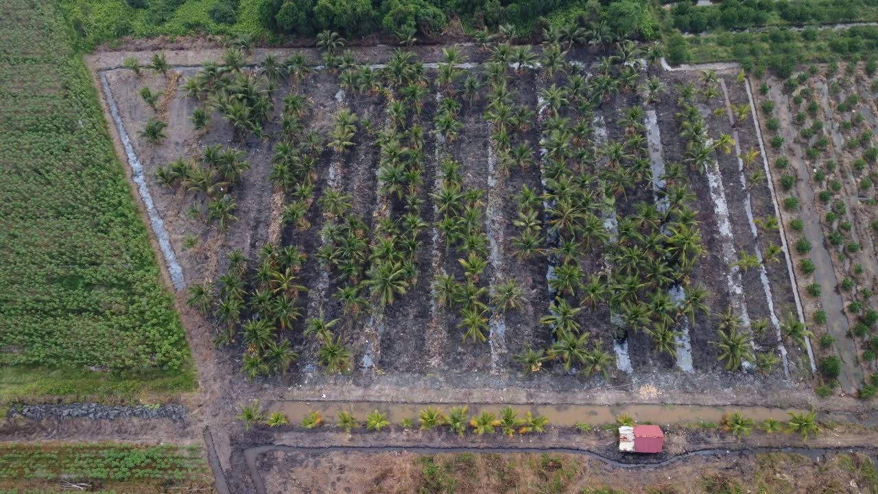 Đất vườn Tân Thành, Thủ Thừa 1000m² chỉ 440 triệu - Đường ôtô vào tận nơi!