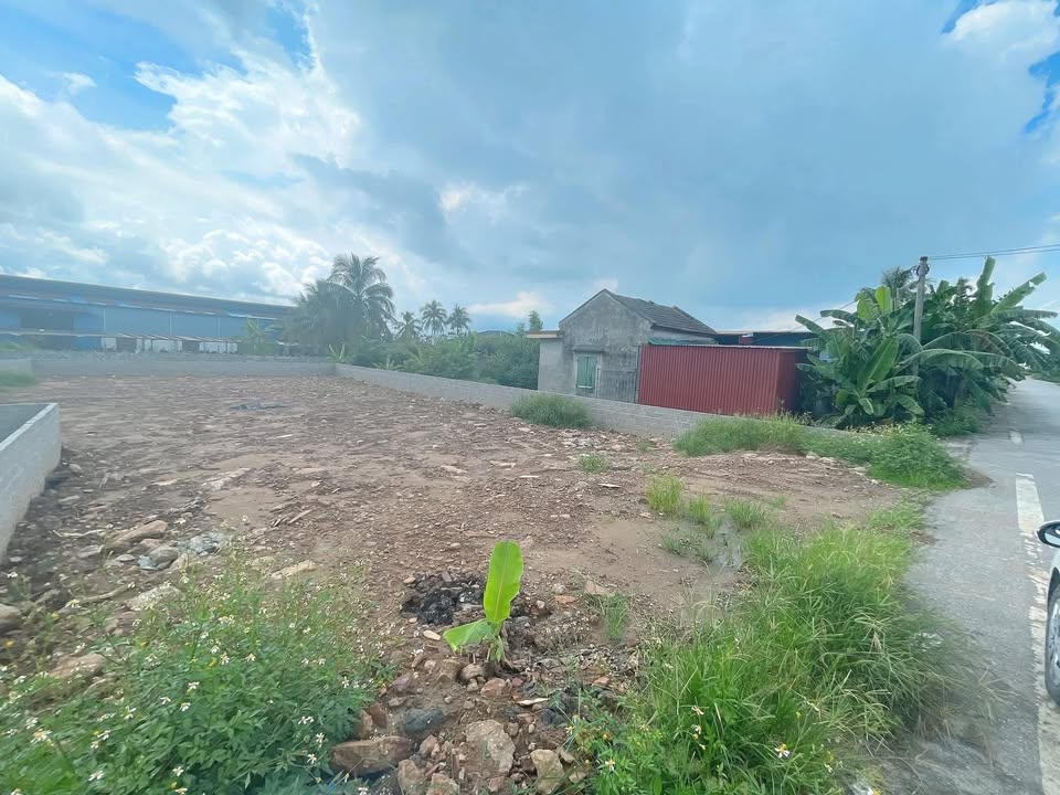 Đất nền An Trường Hải Phòng 500m² giá 4 tỷ - Đầu tư sinh lời bền vững!