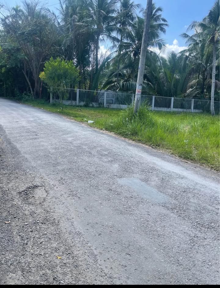 Đất nền Bình Khánh, Mỏ Cày Nam 319m² giá 780 triệu - Kinh doanh thuận lợi!