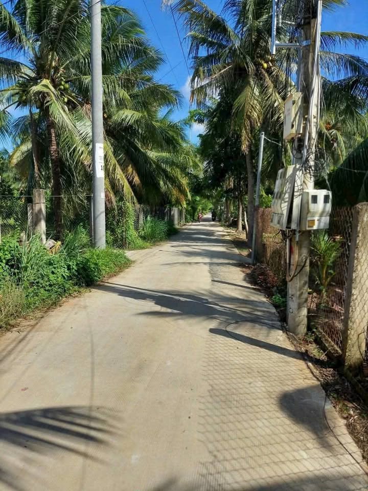 Đất nền An Hội Bến Tre 115m² giá 850 triệu - Đầu tư sinh lời ngay!