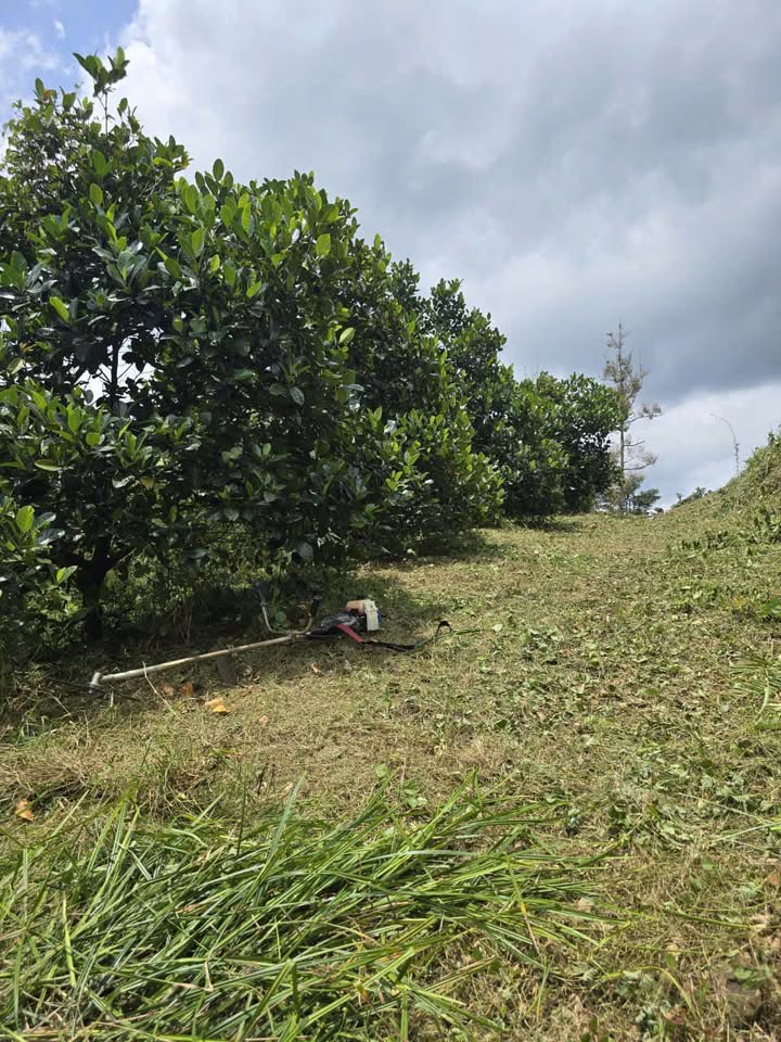 Đất Farm Đạ Ploa, Đạ Huoai, Lâm Đồng 6100m² giá 2 tỷ - Đầu tư sinh lời cao!