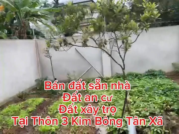 Bán đất Tân Xã Quốc Oai 254m² giá tốt - Đầu tư sinh lời hấp dẫn!