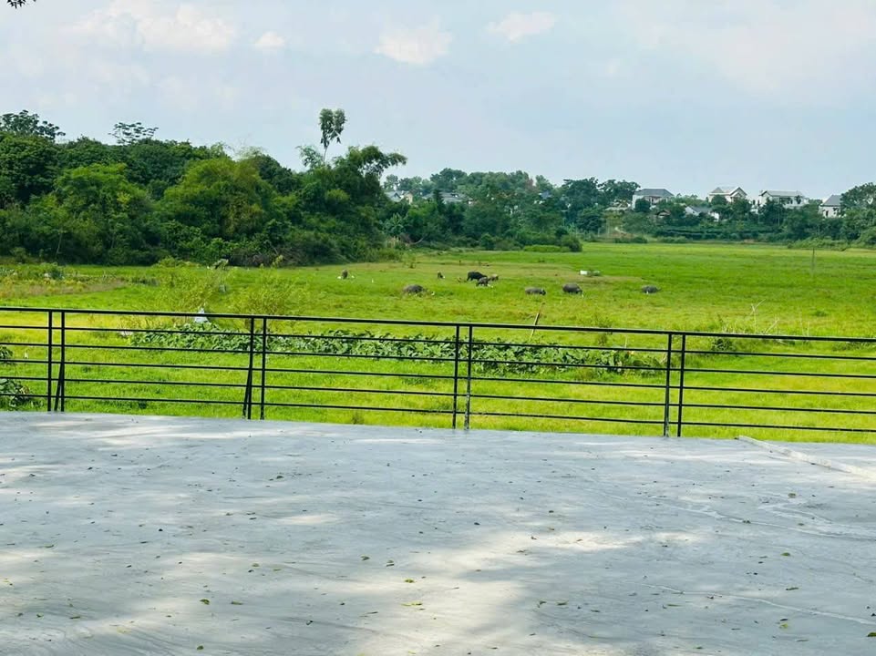 Đất nền Đông Yên Quốc Oai 200m² - View cánh đồng tuyệt đẹp, giá thỏa thuận!