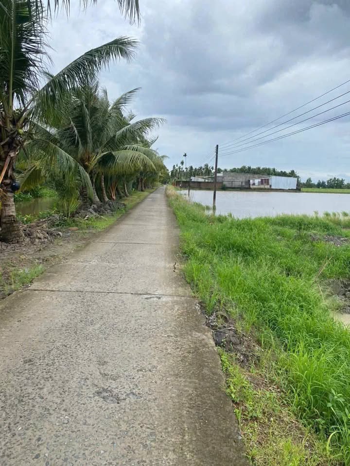 Đất ấp 8, xã Vĩnh Thuận Đông, huyện Long Mỹ 1120m² - Giá chỉ 1 tỷ, thương lượng chính chủ!