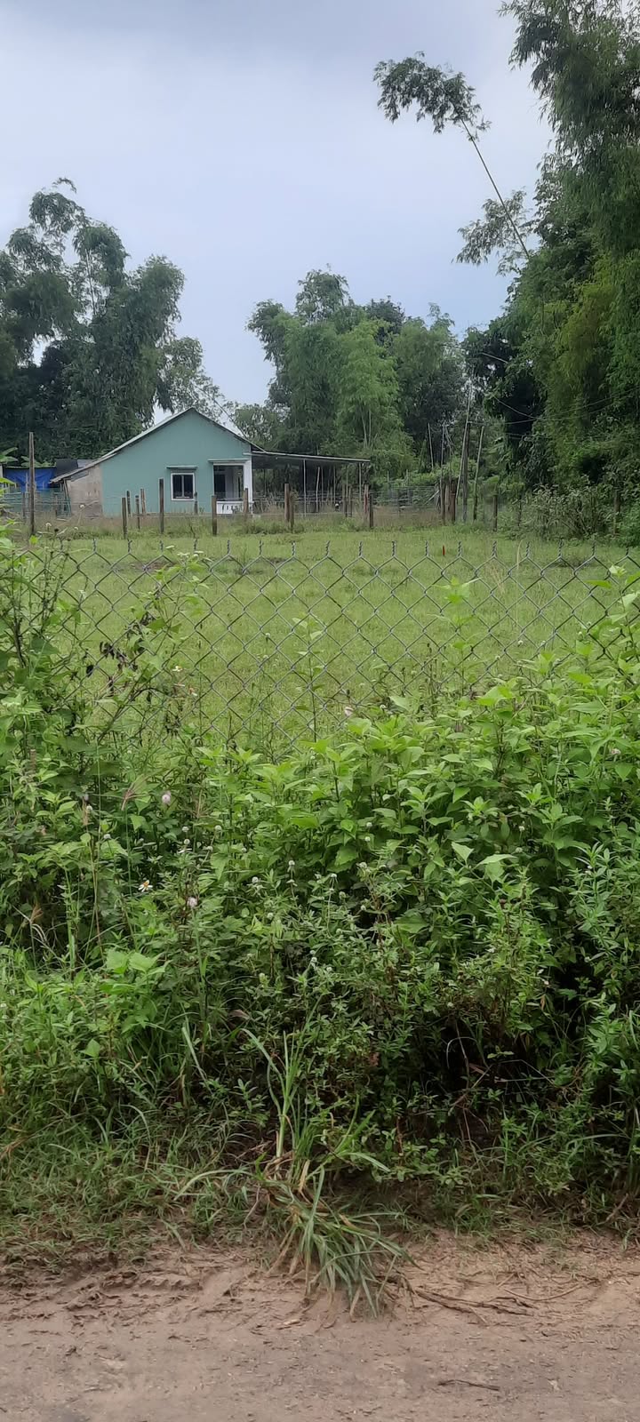 Đất nền Cát Tân, Phù Cát 115m² giá 300 triệu - Đầu tư sinh lời ngay!