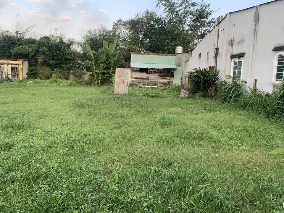 Đất cho thuê chính chủ tại Trường Chinh, Tây Ninh 320m² - Phù hợp làm kho bãi, văn phòng!