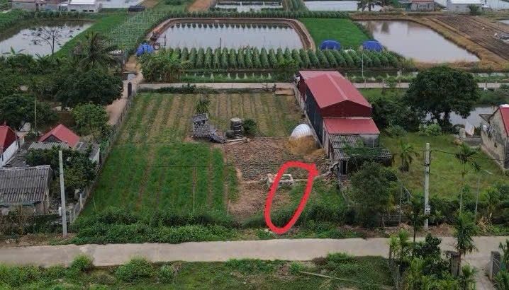 Lô đất thổ cư 198m² xóm 6 Nam Điền, Nghĩa Hưng, Nam Định - Giá chỉ 1.4 tỷ!
