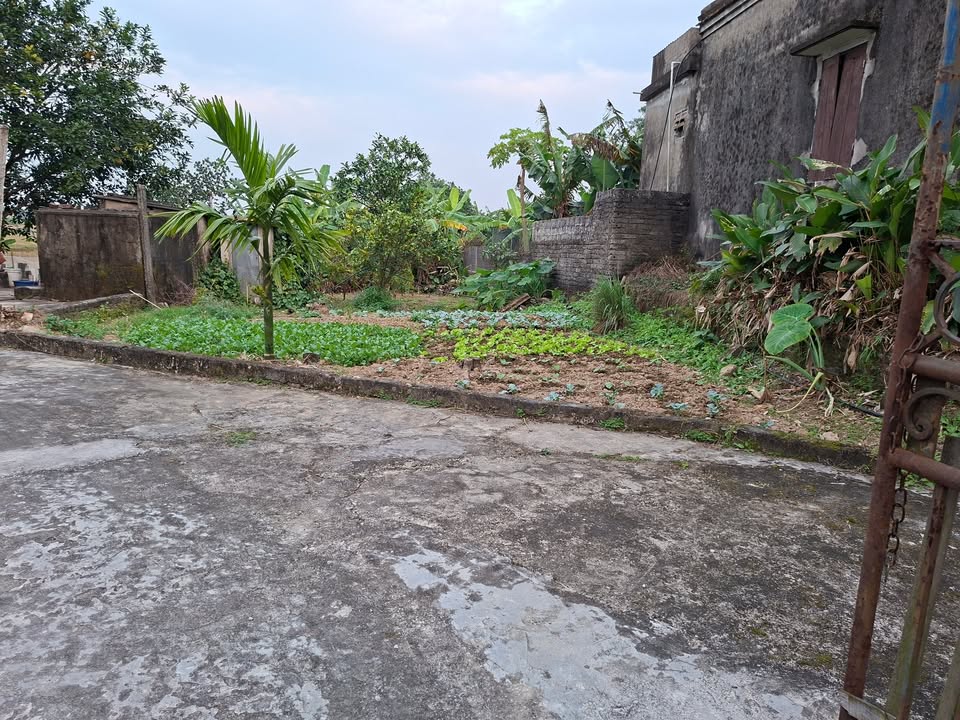 Đất nền xóm May, xã Yên Ninh, 189m² giá chỉ 600 triệu - Cơ hội đầu tư hấp dẫn!