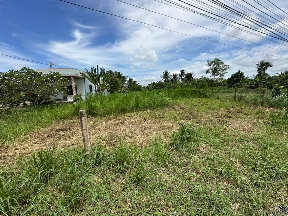 Đất nền thổ cư mặt tiền Cao Thị Mai, Tân Trụ, Long An - 1.55 tỷ - Đầu tư sinh lời ngay!