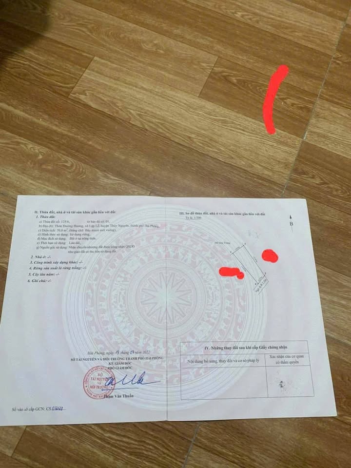 Đất đường Hương Lập Lễ 70m² giá 700 triệu - Đầu tư sinh lời ngay!