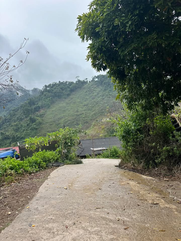 Đất thổ cư Vân Sơn Mộc Châu 1000m² giá thỏa thuận - View đồi chè tuyệt đẹp!