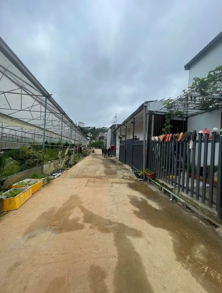 Đất An Bình Đà Lạt 45.7m² giá 650 triệu - Cơ hội đầu tư hấp dẫn!