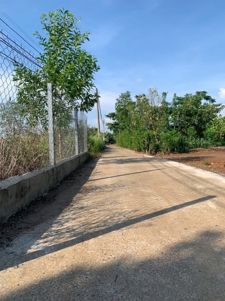 Đất nền Tây Hòa Trảng Bom 3600m² - Giá cực tốt, 3 mặt tiền thoáng đãng!