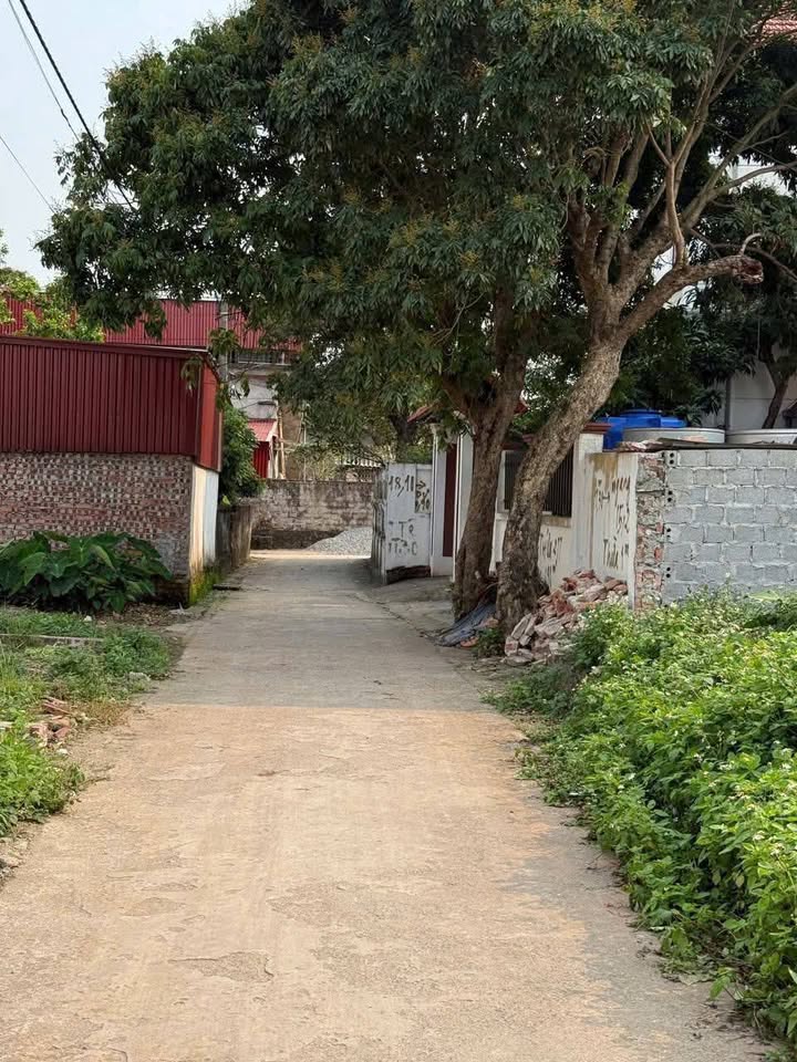 Đất nền Chương Dương 48.5m² giá 2.75 tỷ - Cơ hội đầu tư sinh lời cao!