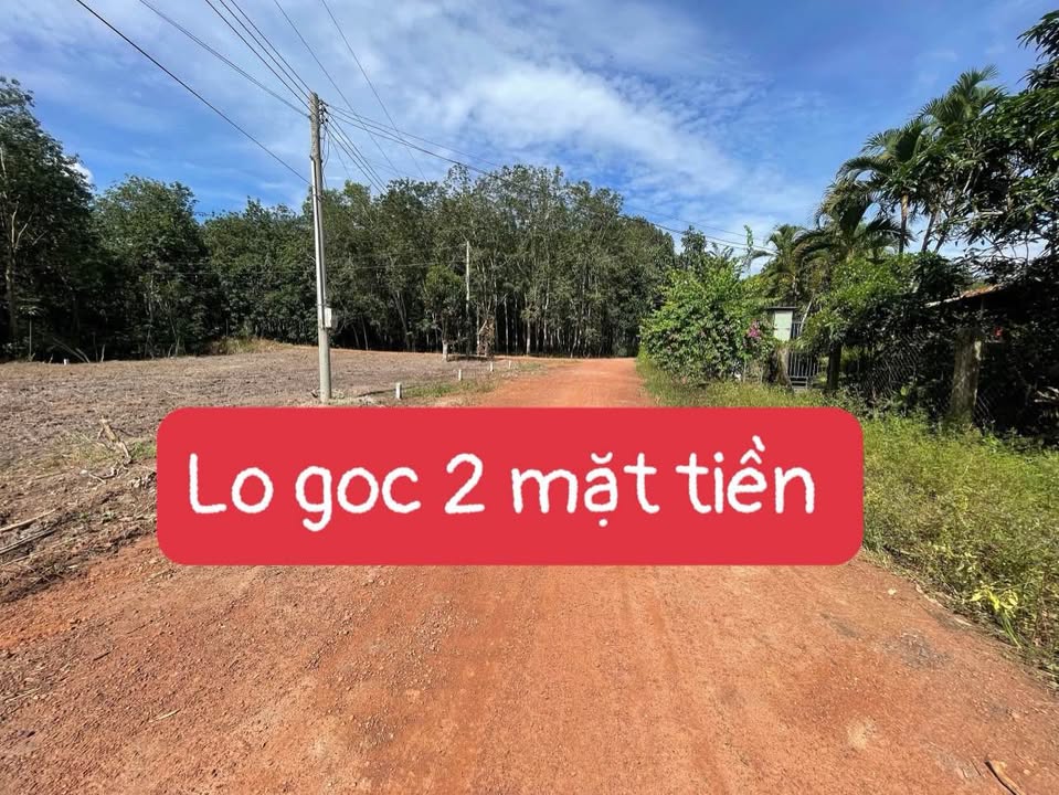 Đất nền Cần Giờ 387m² giá thỏa thuận - Vị trí đắc địa 2 mặt tiền