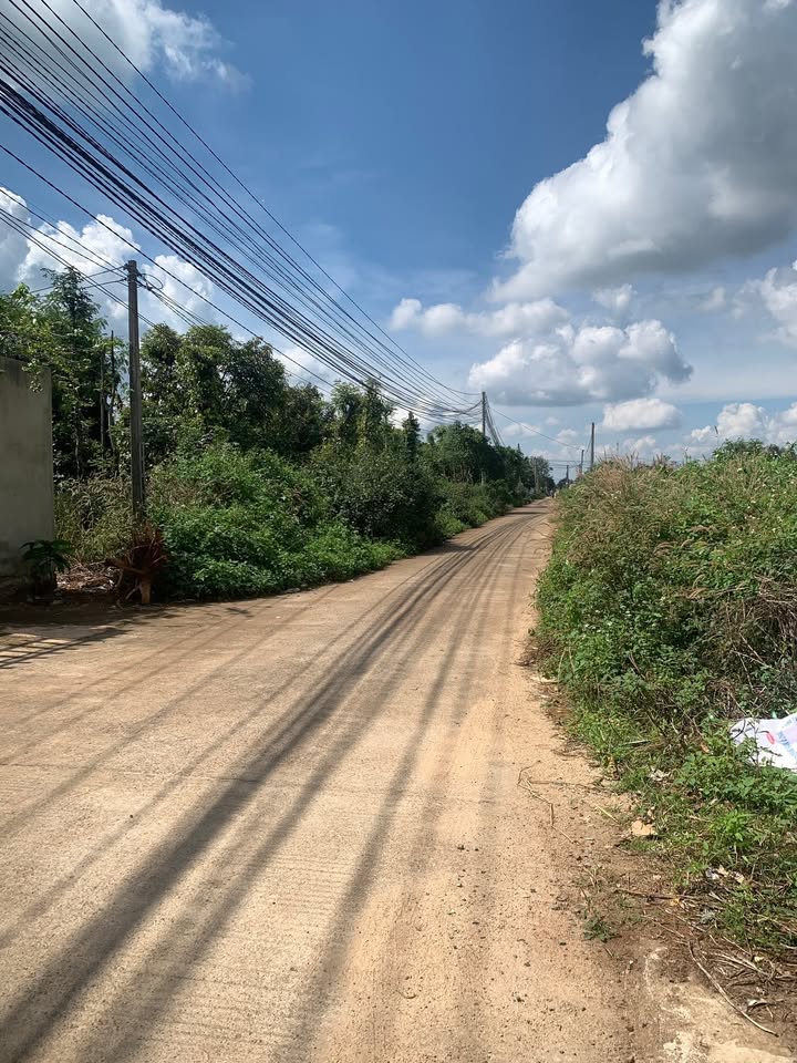 Kho xưởng + khu trọ Cư Suê 1260m² giá 24 tỷ - Đầu tư sinh lời ngay!