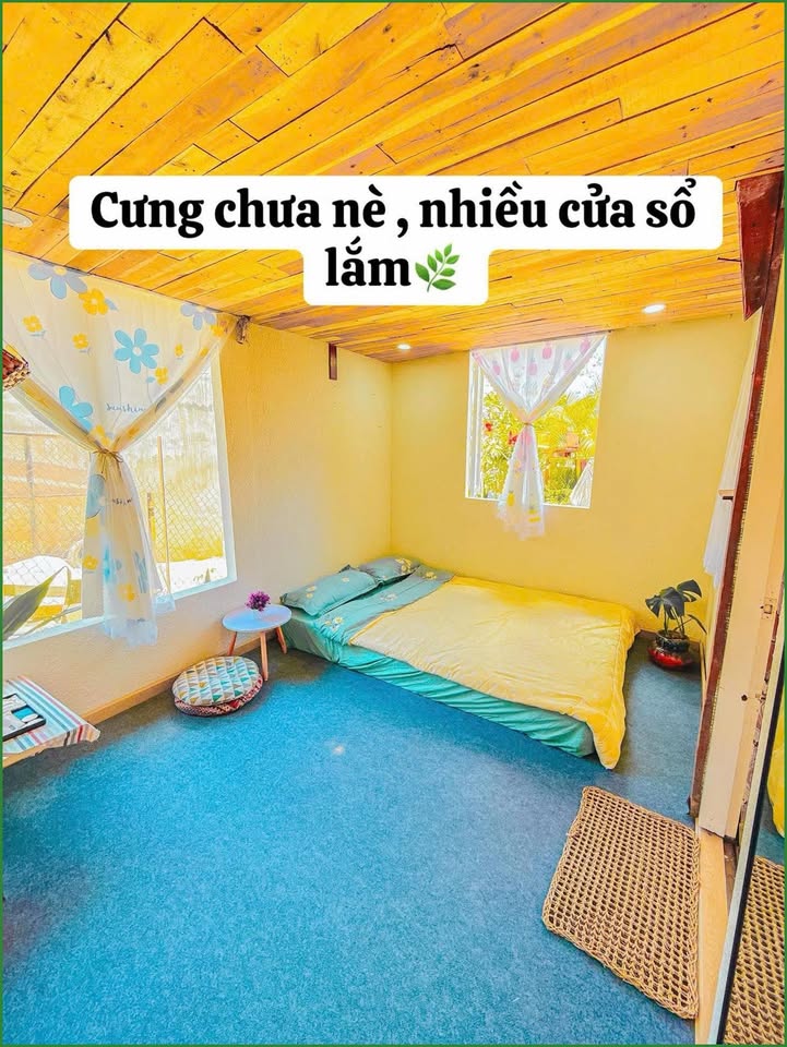 Homestay sân vườn Trần Khánh Dư Đà Lạt 950m² - Vào kinh doanh ngay!