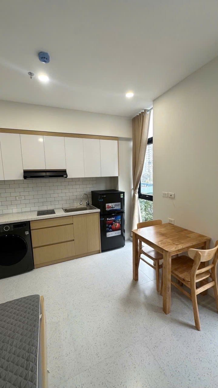 Căn hộ Studio đường Louis 1, Tân Mai 25m² - Full nội thất hiện đại!