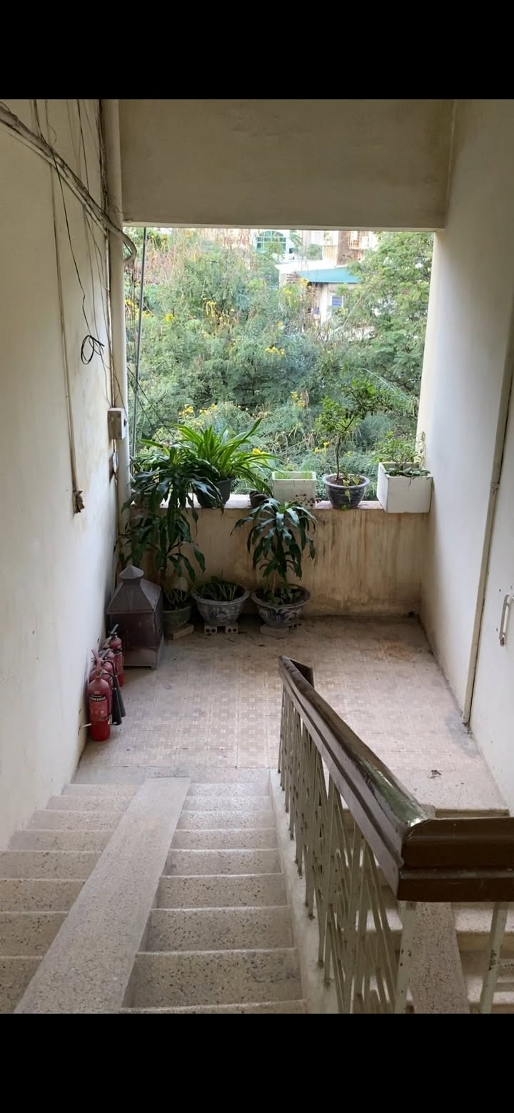 Căn hộ Tập thể VIP Vĩnh Phúc - Ba Đình 75m² giá 5 tỷ - View sân chơi đẹp, chính chủ!