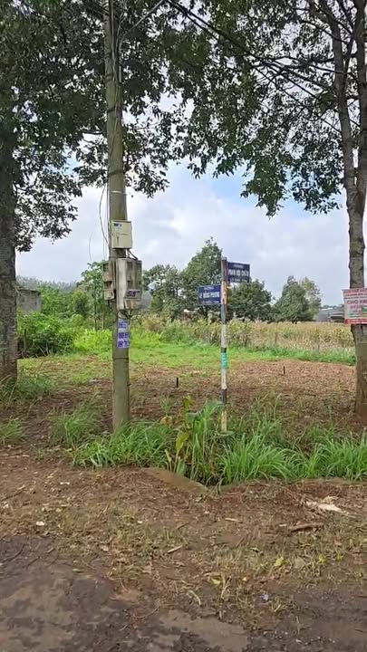 Đất nền mặt tiền Phan Bội Châu - Lê Hồng Phong 230m² giá 2.3 tỷ - Đầu tư sinh lời ngay!