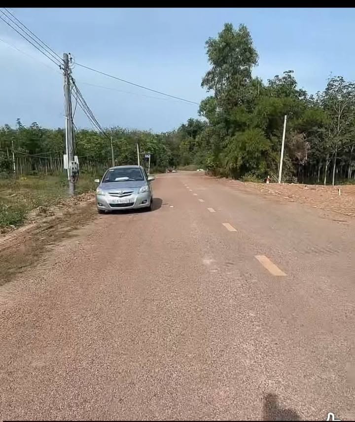 Đất nền đường DH519, xã Phước Sang, huyện Phú Giáo 250m² chỉ 550 triệu - Đầu tư sinh lời!