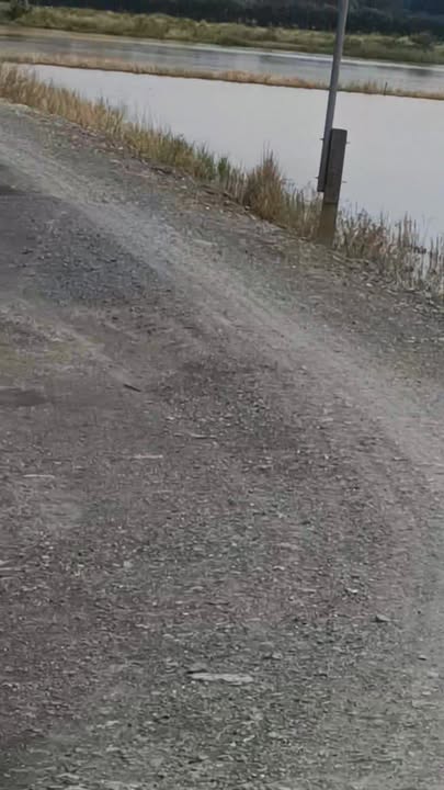 Đất vườn ấp 1 xã Tân Thành, Thủ Thừa, Long An 1000m² giá 800 triệu - Sang tên nhanh trong ngày!