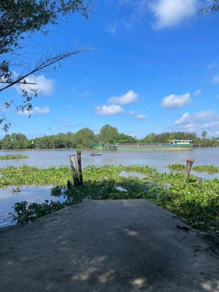 Đất nền Lương Hoà Bến Lức 4500m² giá 5.175 tỷ - Mặt tiền sông thơ mộng