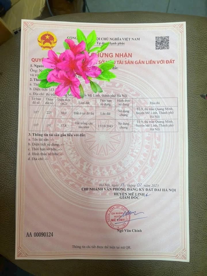 Đất thổ cư Quang Minh 56m² giá 3 tỷ - Đầu tư sinh lời ngay!