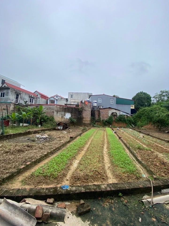 Bán đất xóm Mít Cổ Loa 56m² - Gần ô tô đỗ, vị trí vàng tại Đông Anh!