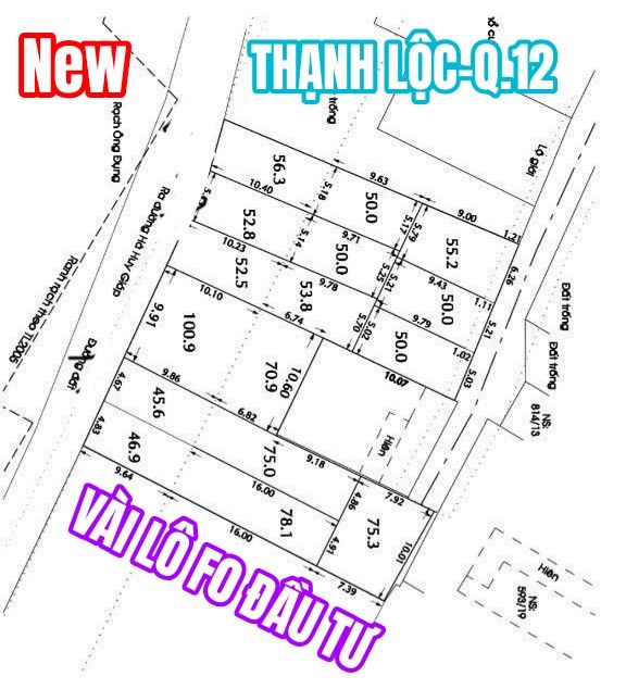 Đất nền Thạnh Lộc Q.12 100m² giá 3.85 tỷ - Sổ hồng chính chủ, đầu tư sinh lời!